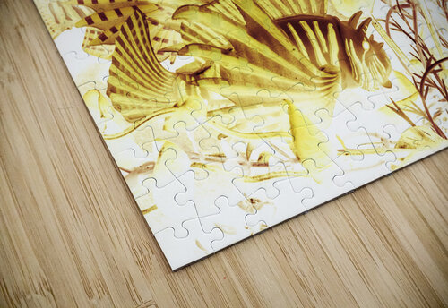 Tropical reef Jorgo puzzle