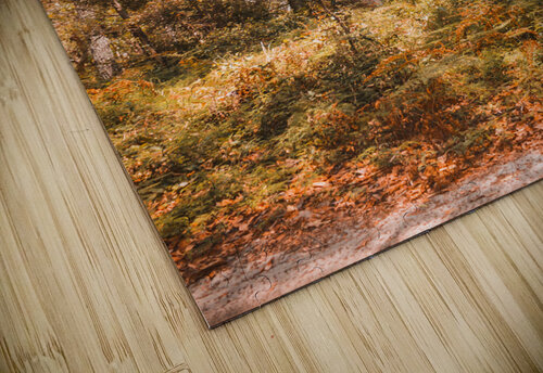Autumn gold Jorgo puzzle