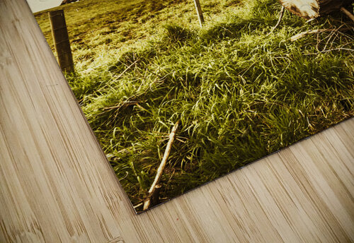 Rustic rural countryside landscape Jorgo puzzle