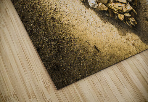 Earthly togetherness Jorgo puzzle