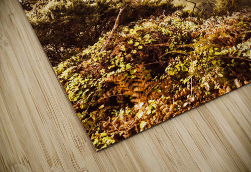 Huonville river reflections Jorgo puzzle