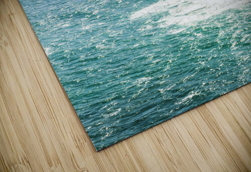 Wild western waters Jorgo puzzle