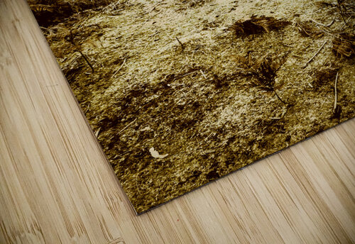 Rusty rural ramshackle Jorgo puzzle