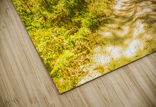 Lostwoods Jorgo puzzle