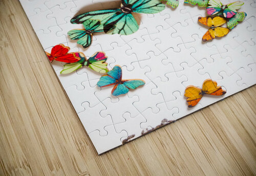 Color pop Jorgo puzzle