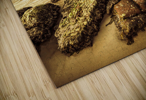 Oceanic harmony Jorgo puzzle