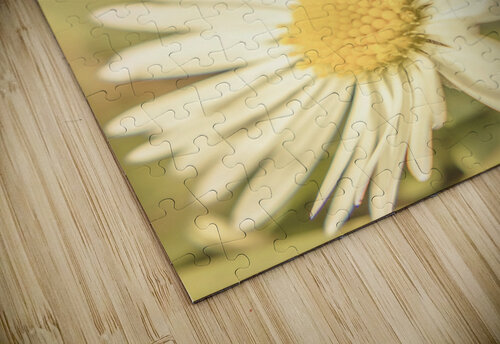 Inseparable  Jorgo puzzle