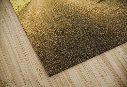 The wander Jorgo puzzle