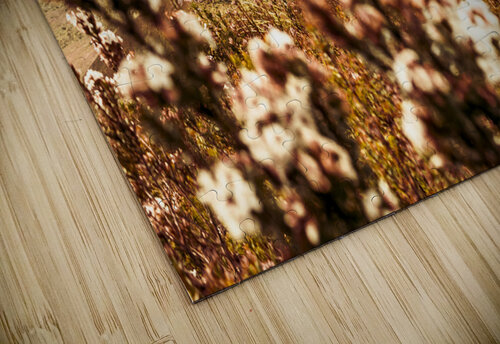 Spring mountain blossoms Jorgo puzzle