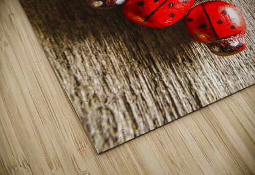 Love bug Jorgo puzzle