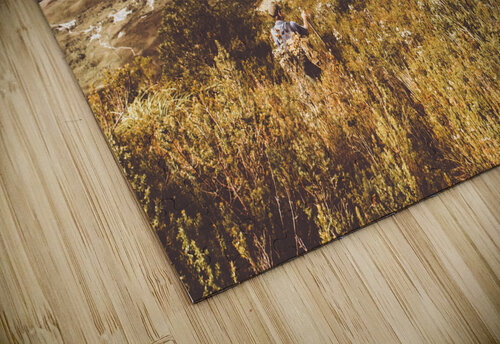 Zeehan Tasmania Jorgo puzzle