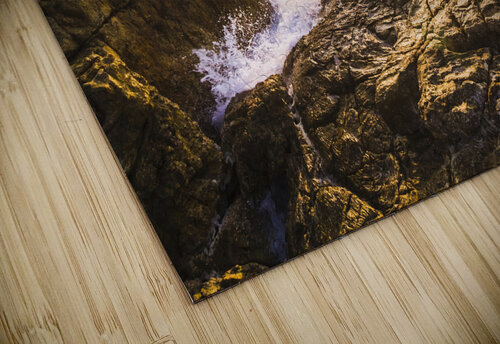 Sea splendor Jorgo puzzle