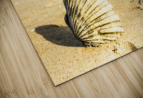 Seven Mile Beach Jorgo puzzle