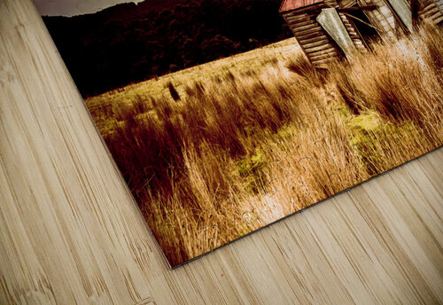 Collapsing old wooden farm building Jorgo puzzle