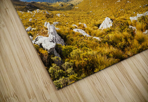 A range of colours Jorgo puzzle