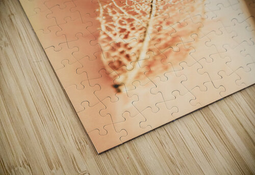 Autumn fragility Jorgo puzzle