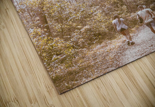 Touring Mt Walsh National Park Jorgo puzzle