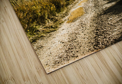 Zeehan dirt road landscape Jorgo puzzle