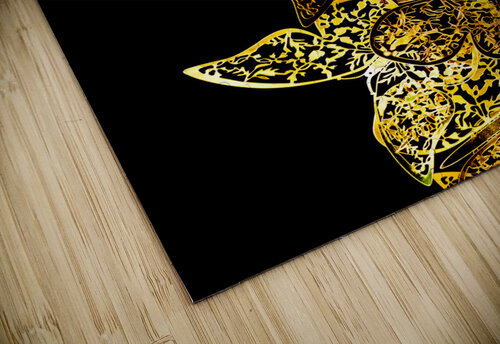 The shimmer  Jorgo puzzle