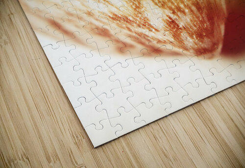 Colorful light flare over seashell Jorgo puzzle