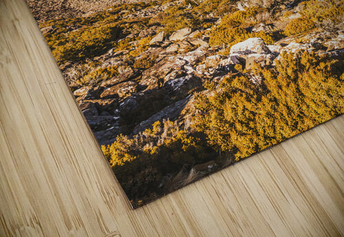 Scenic barren range Jorgo puzzle