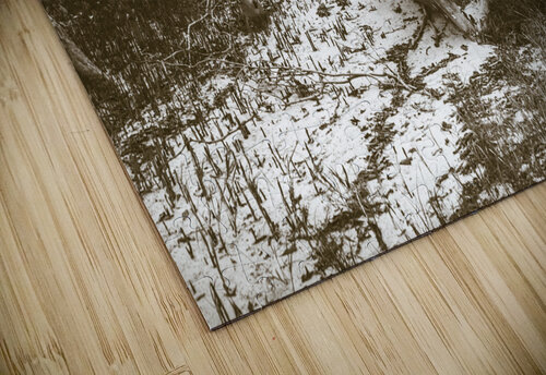 Landlocked Jorgo puzzle