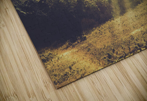 Rays of dusk Jorgo puzzle