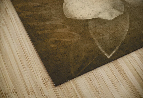 Vintage postcard flower Jorgo puzzle