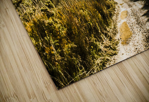 Rural paths out yonder Jorgo puzzle