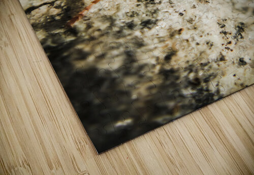 Wasp hunt Jorgo puzzle