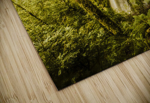 Wilderness falls Jorgo puzzle