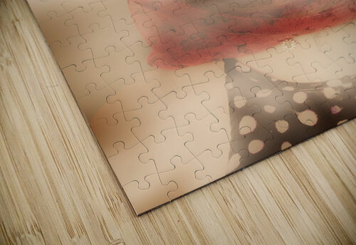 Old-fashioned mysterious beauty Jorgo puzzle