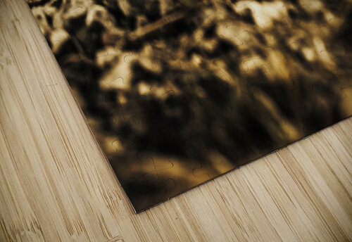 Rustic mountain bikes Jorgo puzzle