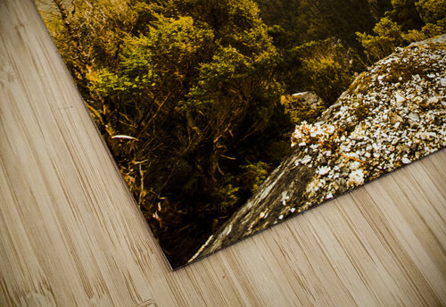 Foggy mountainous forest Jorgo puzzle