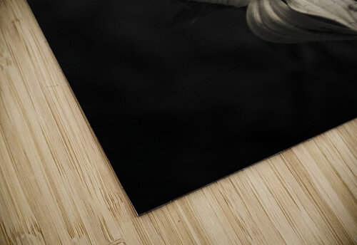 Petal winds Jorgo puzzle