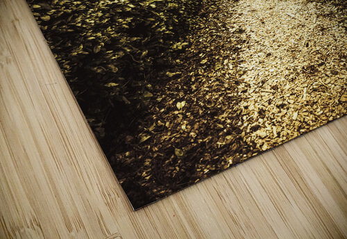 Up the garden path Jorgo puzzle