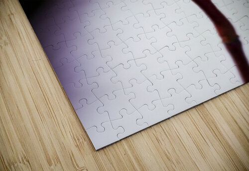 Beauty In Growth Jorgo puzzle