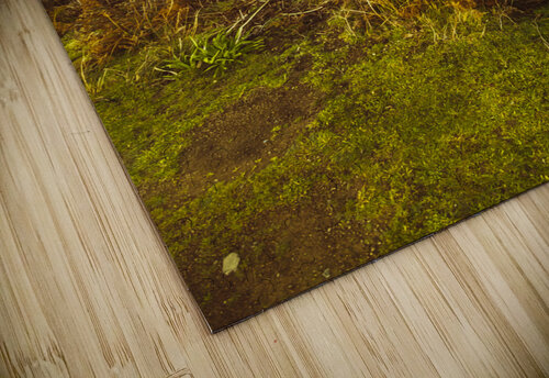 Grassy hills and distant mountains Jorgo puzzle