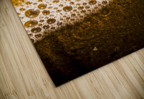 Sea shells and ocean ripples Jorgo puzzle