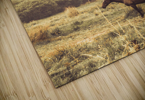 Western ranch horse Jorgo puzzle