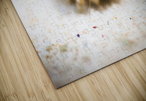 Hiding Hermit Crab Jorgo puzzle