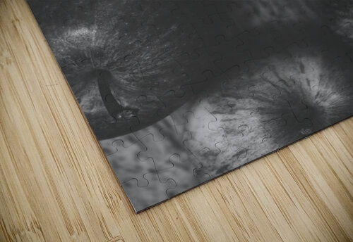 Selective colour still life fruits Jorgo puzzle