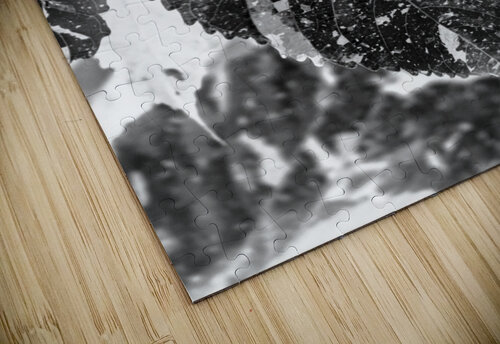 Leaves and light Jorgo puzzle