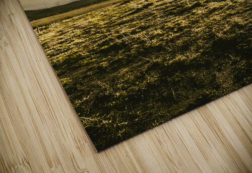 Mountain grassland Jorgo puzzle