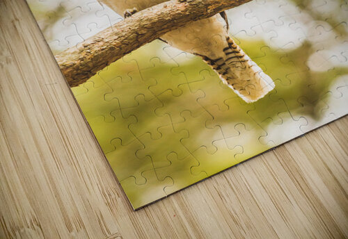 Branched Outback Jorgo puzzle