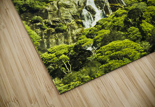 Rainforest rapids Jorgo puzzle