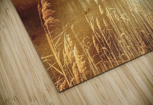 Coal River Richmond Jorgo puzzle