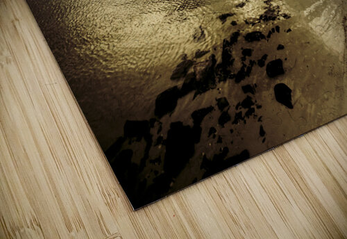 Calm before the storm Jorgo puzzle