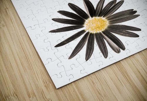 Seisiad Jorgo puzzle