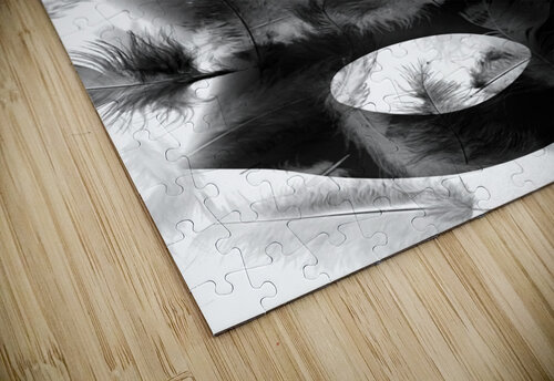 Harellucination Jorgo puzzle